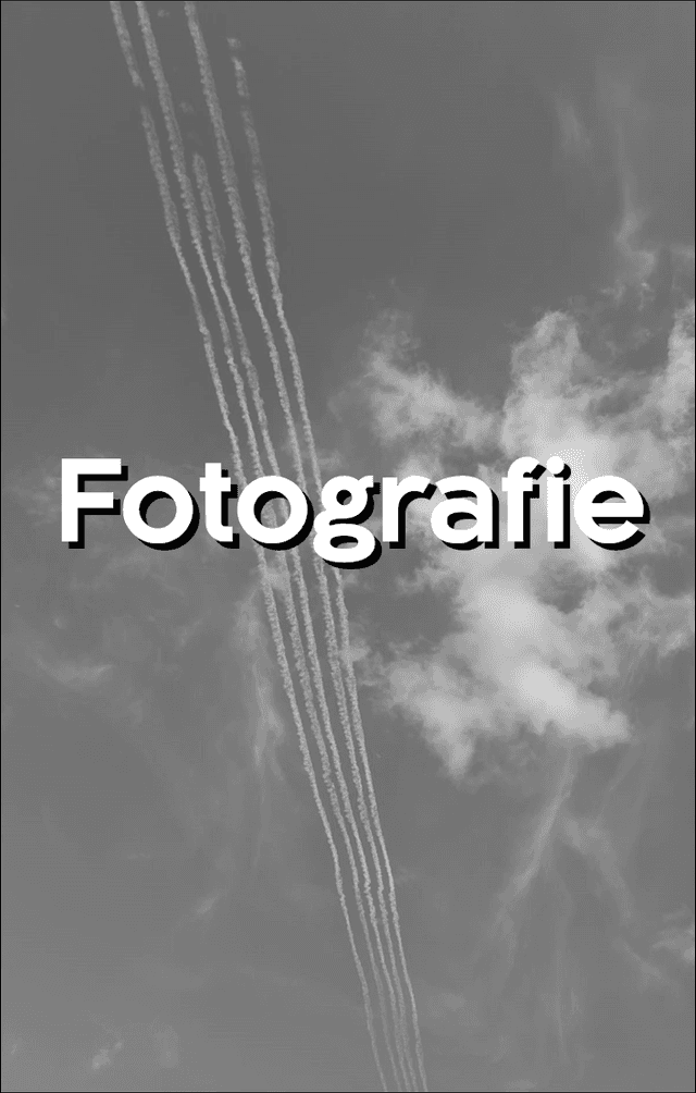 Fotografie Showcase
